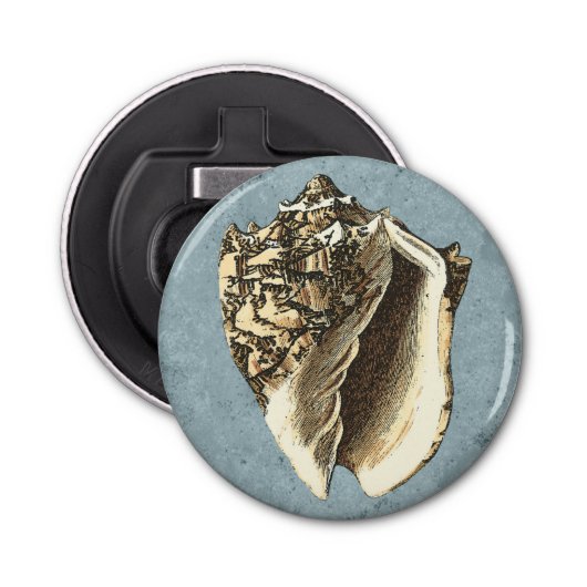 Muschel Stonewash Conch Flaschenöffner (Vorderseite)