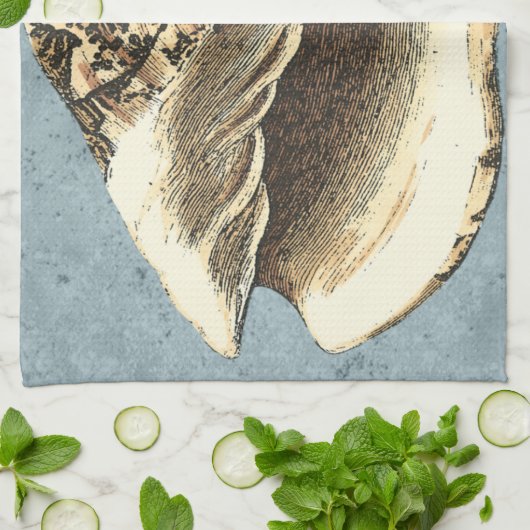 Muschel Stonewash Conch Geschirrtuch (Gefaltet)