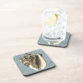 Muschel Stonewash Conch Getränkeuntersetzer (Rechte Seite)