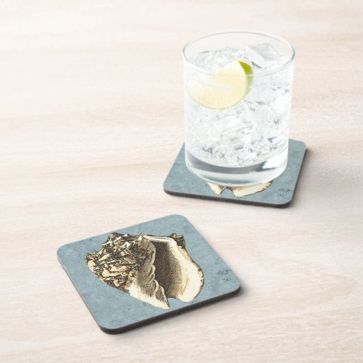 Muschel Stonewash Conch Getränkeuntersetzer (Rechte Seite)