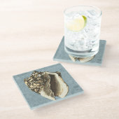 Muschel Stonewash Conch Glasuntersetzer (Schrägansicht)