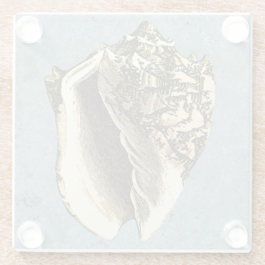 Muschel Stonewash Conch Glasuntersetzer (Rückseite)