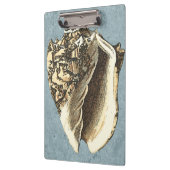 Muschel Stonewash Conch Klemmbrett (Links)