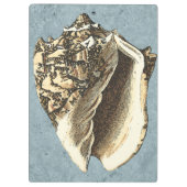 Muschel Stonewash Conch Klemmbrett (Rückseite)