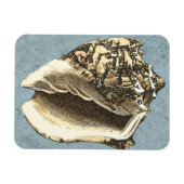 Muschel Stonewash Conch Magnet (Horizontal)