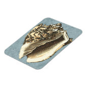 Muschel Stonewash Conch Magnet (Linke Seite)