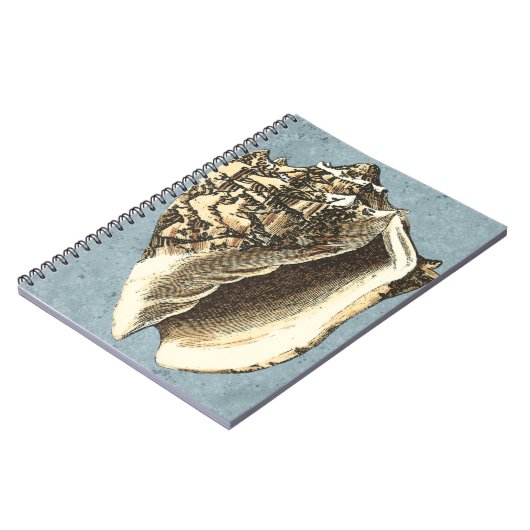 Muschel Stonewash Conch Notizblock (Linke Seite)