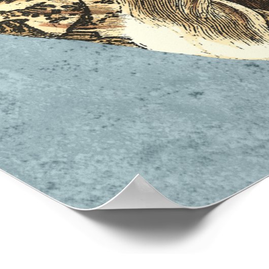 Muschel Stonewash Conch Poster (Ecke)