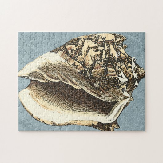 Muschel Stonewash Conch Puzzle (Horizontal)