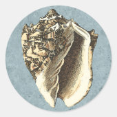 Muschel Stonewash Conch Runder Aufkleber (Vorderseite)