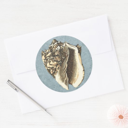 Muschel Stonewash Conch Runder Aufkleber (Umschlag)