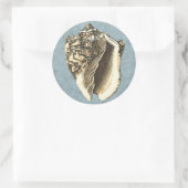 Muschel Stonewash Conch Runder Aufkleber (Tasche)