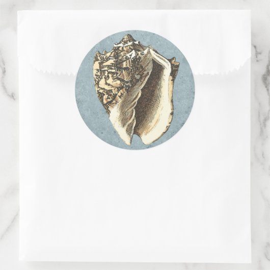 Muschel Stonewash Conch Runder Aufkleber (Tasche)