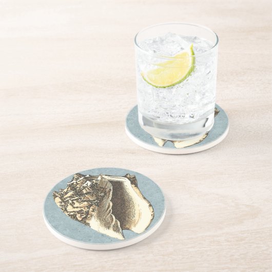 Muschel Stonewash Conch Sandstein Untersetzer (Seite)