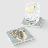 Muschel Stonewash Conch Steinuntersetzer (Seitenansicht)