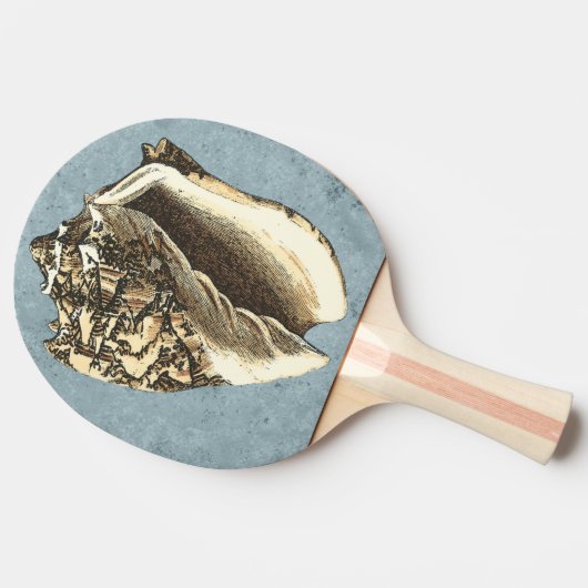 Muschel Stonewash Conch Tischtennis Schläger (Seitenansicht)
