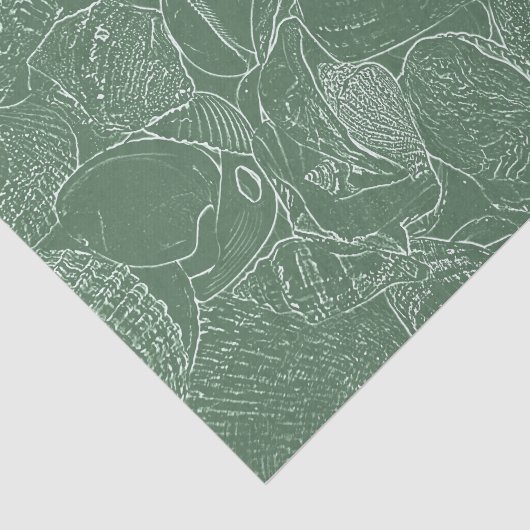 Muschel Strand Grün Weiß Decoupage Seidenpapier (Ausschnitt)