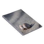 Muschel, Strand, Sand Notizblock (Rechte Seite)