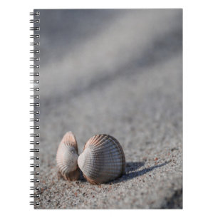 Muschel, Strand, Sand Notizblock