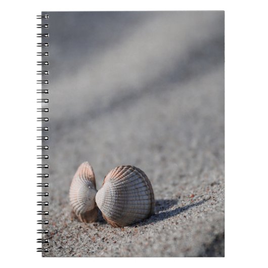 Muschel, Strand, Sand Notizblock (Vorderseite)