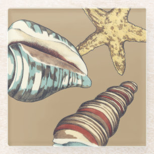 Muschel-Trio auf kakifarbigem Glasuntersetzer