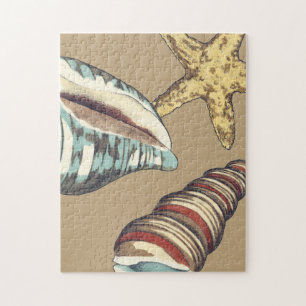 Muschel-Trio auf kakifarbigem Puzzle