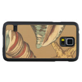 Muschel Trio über Khaki (Vorderseite (Horizontal))