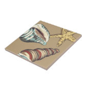 Muschel Trio über Khaki Fliese (Seite)