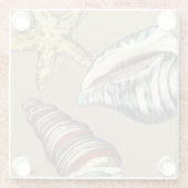 Muschel Trio über Khaki Glasuntersetzer (Rückseite)