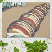 Muschel Trio über Khaki Küchentuch (Gefaltet)