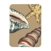 Muschel Trio über Khaki Magnet (Vertikal)