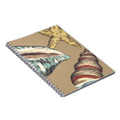 Muschel Trio über Khaki Notizblock (Rechte Seite)