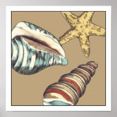 Muschel Trio über Khaki Poster (Vorne)