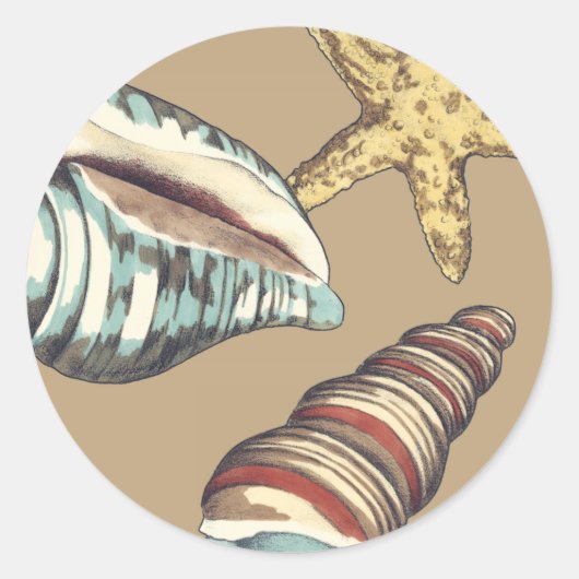 Muschel Trio über Khaki Runder Aufkleber (Vorderseite)