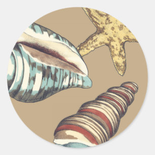 Muschel Trio über Khaki Runder Aufkleber