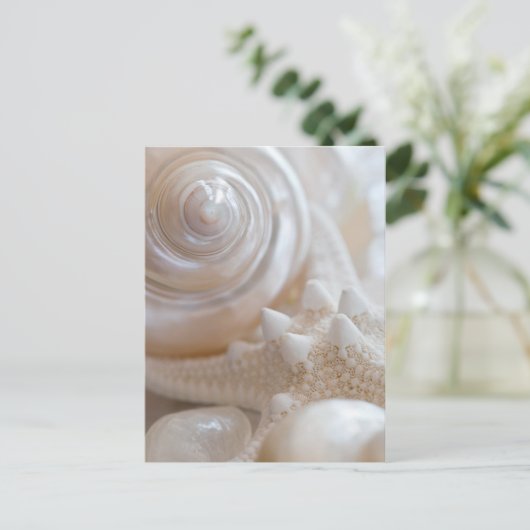Muschel und Starfish Hintergrund - Muscheln am Str Postkarte (Stehend Vorderseite)