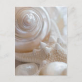 Muschel und Starfish Hintergrund - Muscheln am Str Postkarte (Vorderseite)