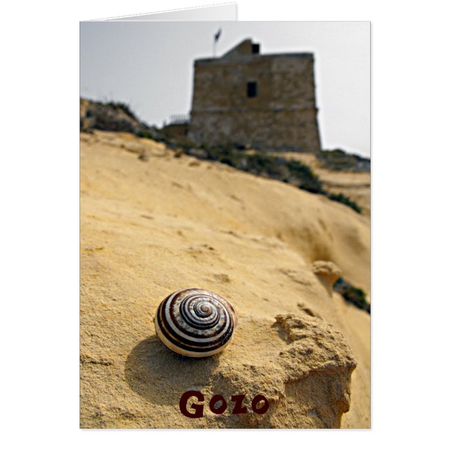 Muschel und Tower, Gozo, Malta (Vorne)