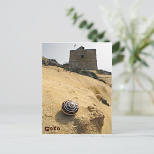 Muschel und Tower, Gozo, Malta Postkarte (Stehend Vorderseite)