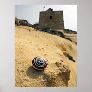 Muschel und Turm, Gozo Poster