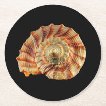 Muschel-Untersetzer