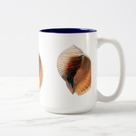 Muschel Vintag Zweifarbige Tasse