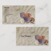 Muschel-Visitenkarte Visitenkarte (Vorne/Hinten)