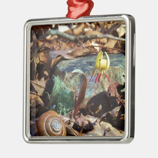 Muschel von Gelben und Pflaumen Ornament Aus Metall (Links)