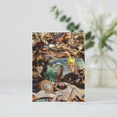 Muschel von Gelben und Pflaumen Postkarte (Stehend Vorderseite)