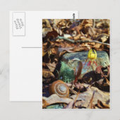 Muschel von Gelben und Pflaumen Postkarte (Vorne/Hinten)