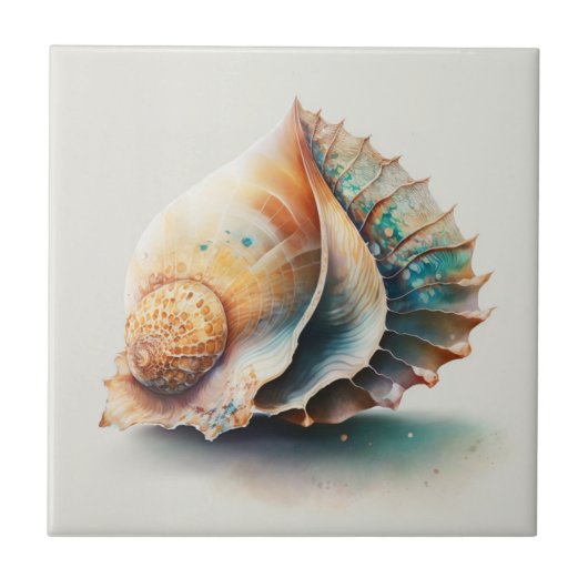 Muschel von Queen Conch, Aquarellfarbe, Keramik Fliese (Vorderseite)