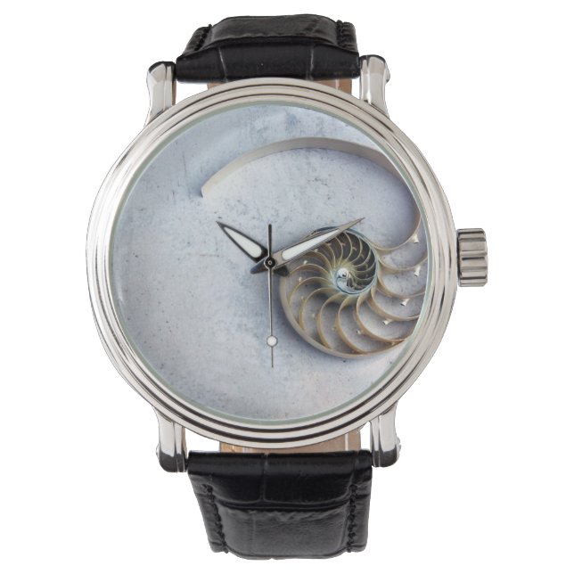Muschel von Seashell nautilus Armbanduhr (Vorderseite)