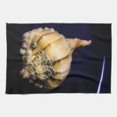 Muschel von Seeschnellfischen mit Barnacles Geschirrtuch (Horizontal)