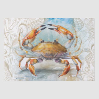 Muschel Wasserfarbe Seidenpapier